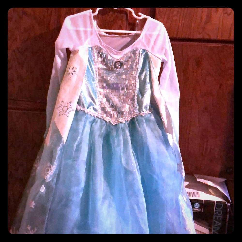 Girls 5/6 Elsa Dress from Disney Store